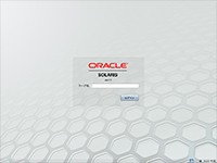 Oracle Solaris 11 インストール